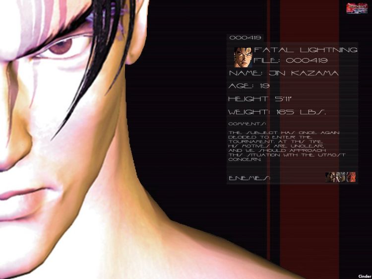 Fonds d'cran Jeux Vido Tekken Tag Tournament Wallpaper N37953