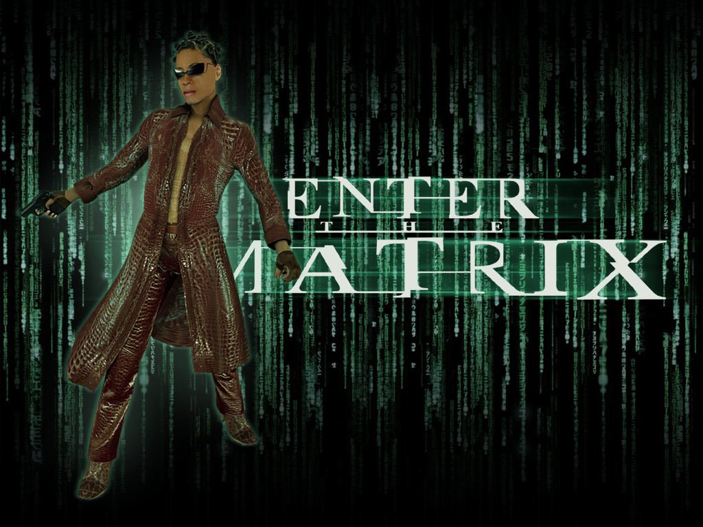 Wallpapers Video Games Enter The Matrix 