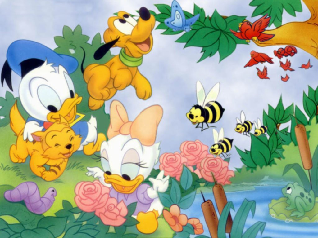 Wallpapers Cartoons Donald and Cie 