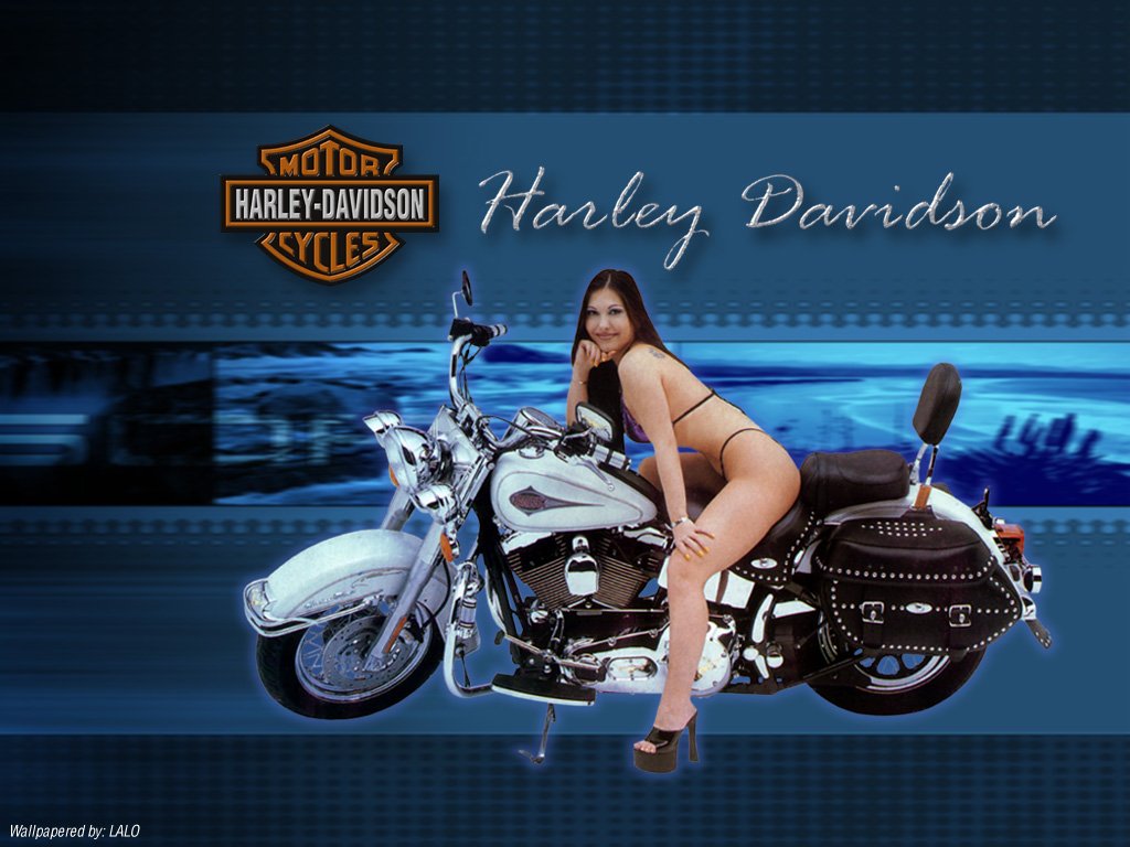 Wallpapers Motorbikes Harley Davidson 