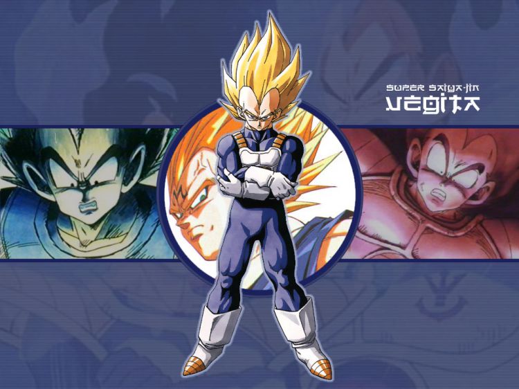 Wallpapers Manga Dragon Ball Z Wallpaper N48922