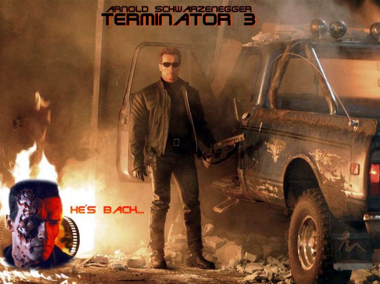 Fonds d'cran Cinma Terminator Wallpaper N27267