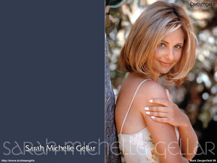 Fonds d'cran Clbrits Femme Sarah Michelle Gellar Wallpaper N57886