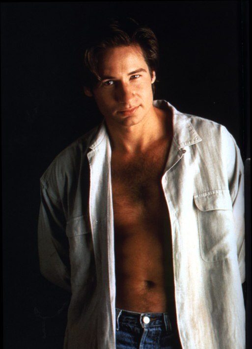 Fonds d'cran Clbrits Homme David Duchovny 