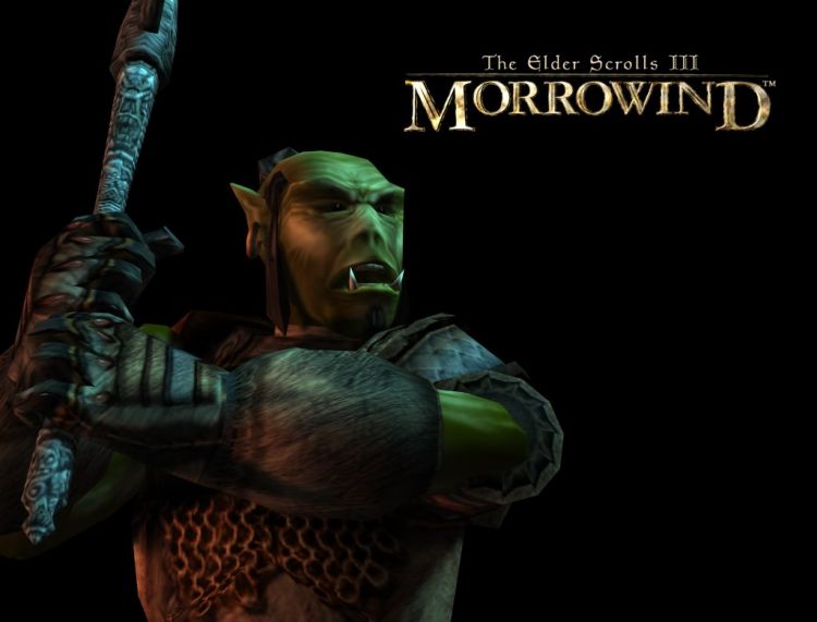 Fonds d'cran Jeux Vido The Elder Scrolls III : Morrowind Wallpaper N33563