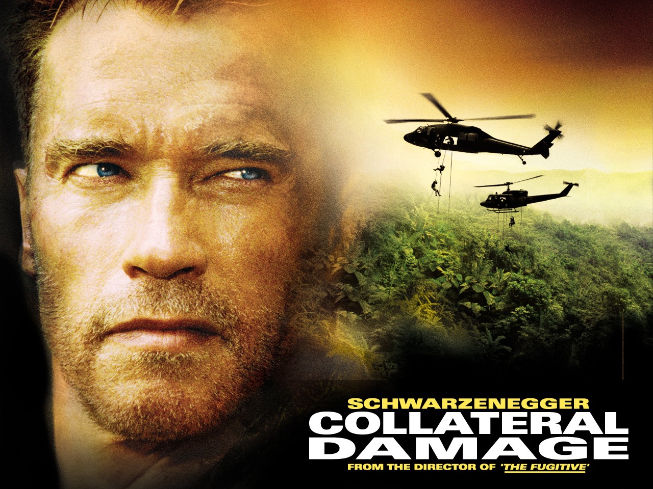 Wallpapers Movies Collateral Damage 