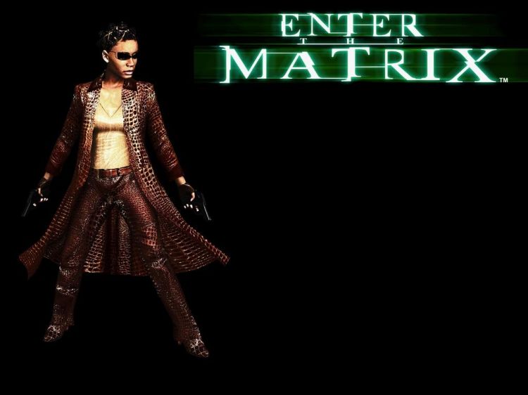 Fonds d'cran Jeux Vido Enter The Matrix Wallpaper N37052