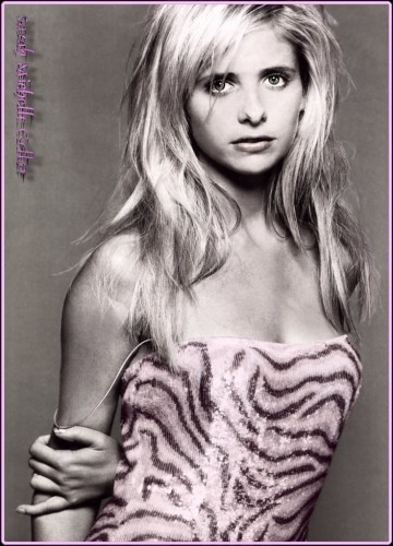 Fonds d'cran Clbrits Femme Sarah Michelle Gellar Wallpaper N62148