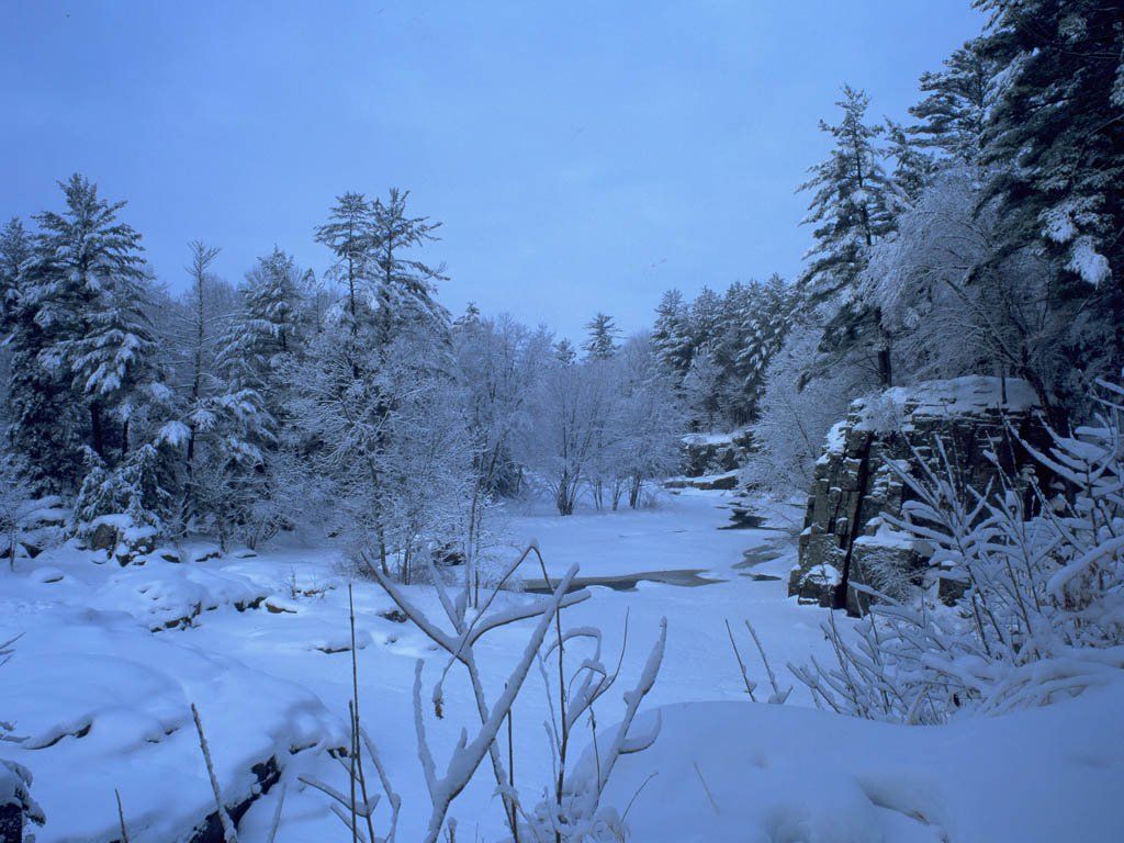 Fonds d'cran Nature Arbres - Forts 