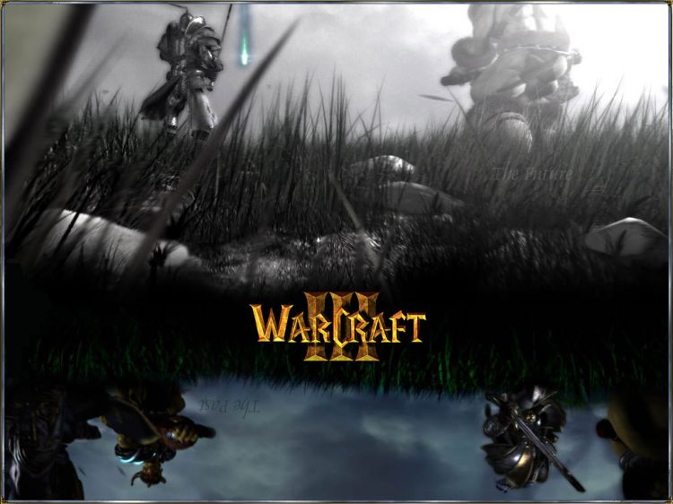 Fonds d'cran Jeux Vido Warcraft 3 Wallpaper N38156