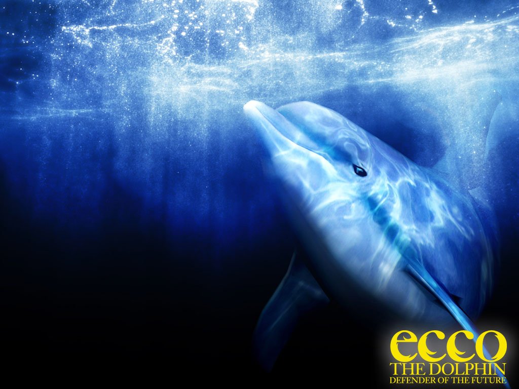 Wallpapers Video Games Ecco the dolphin 