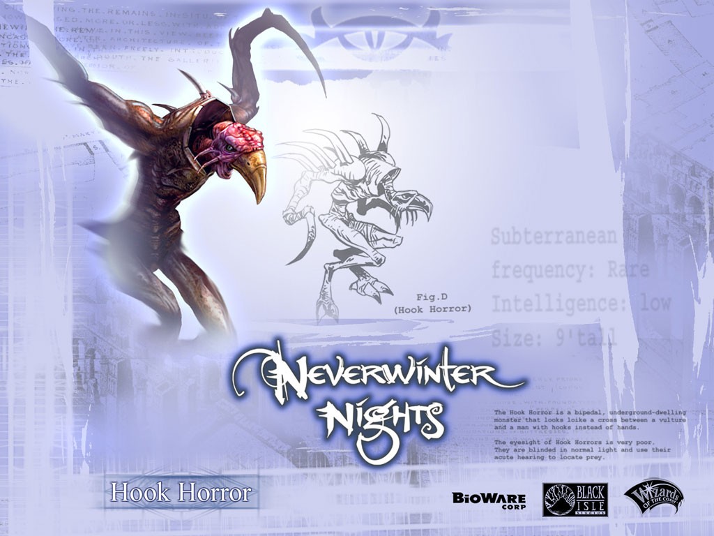 Fonds d'cran Jeux Vido NeverWinter Nights 