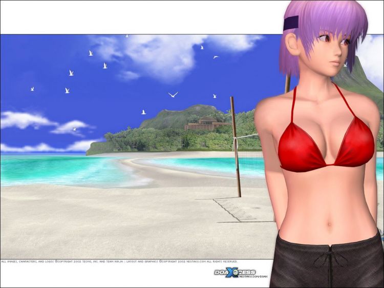 Wallpapers Video Games Dead or Alive Xtreme Beach Volleyball Wallpaper N37009