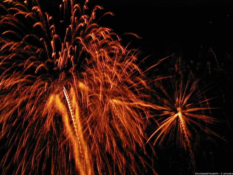 Fonds d'cran Hommes - Evnements Feux d'Artifice Wallpaper N40181