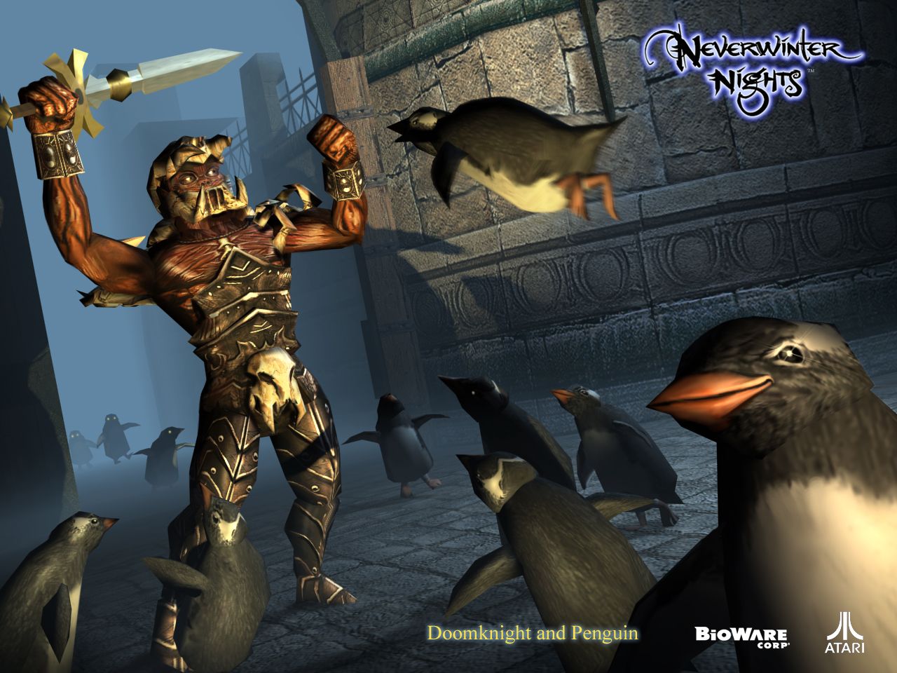 Wallpapers Video Games NeverWinter Nights 