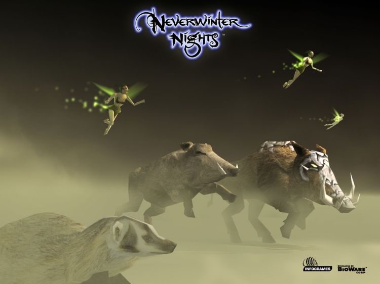 Fonds d'cran Jeux Vido NeverWinter Nights Wallpaper N33674