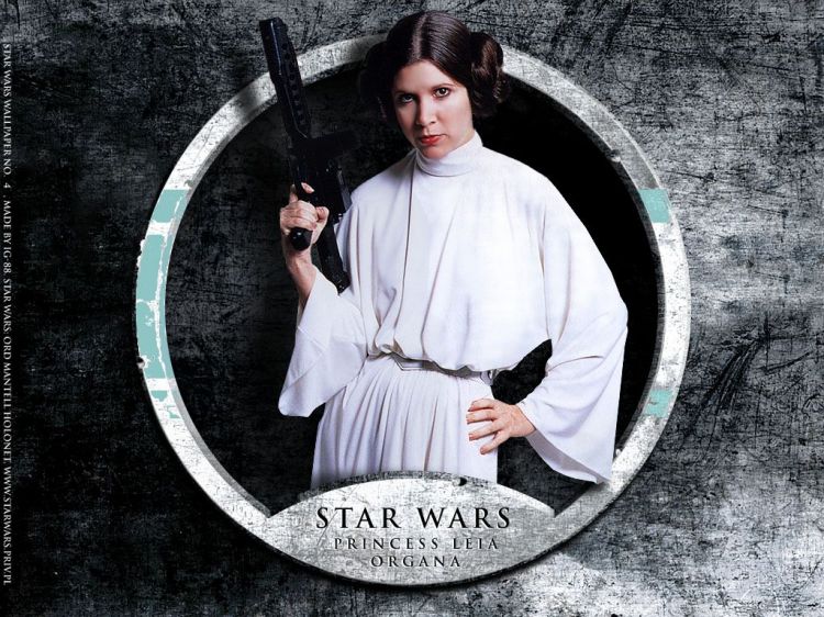 Fonds d'cran Cinma Star Wars - Spcial Personnages Wallpaper N27001