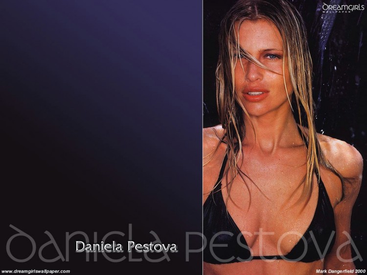 Fonds d'cran Clbrits Femme Daniela Pestova Wallpaper N55827