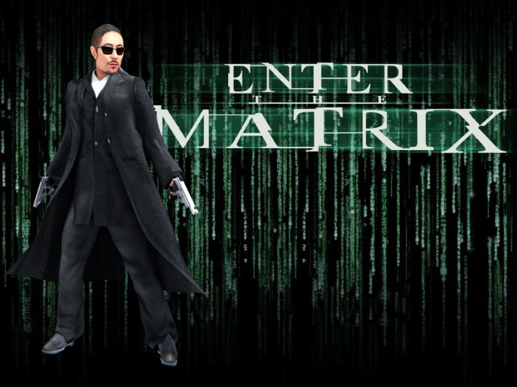 Wallpapers Video Games Enter The Matrix Wallpaper N37049