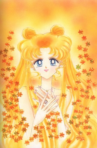 Fonds d'cran Manga Sailor Moon Wallpaper N50448