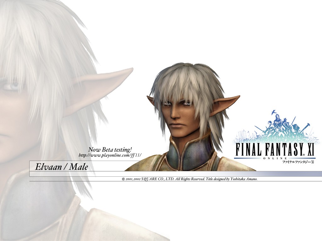 Fonds d'cran Jeux Vido Final Fantasy XI 