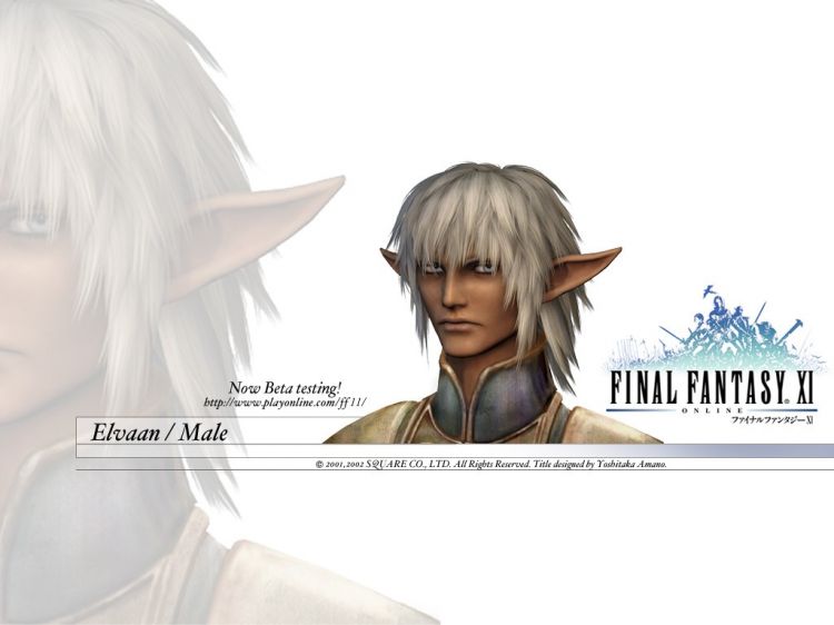 Fonds d'cran Jeux Vido Final Fantasy XI Wallpaper N32256