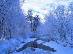 Fonds d'cran Nature Image sans titre N39763