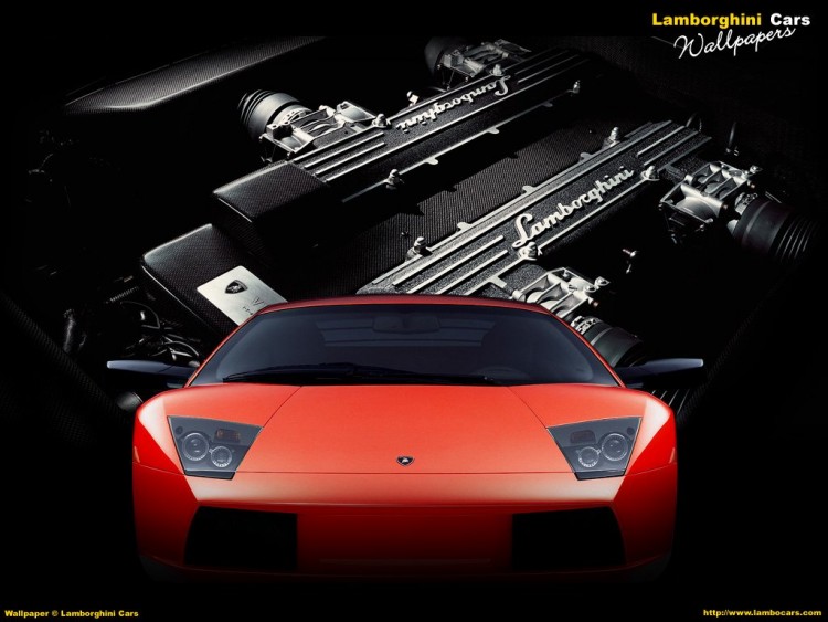 Wallpapers Cars Lamborghini Wallpaper N52165