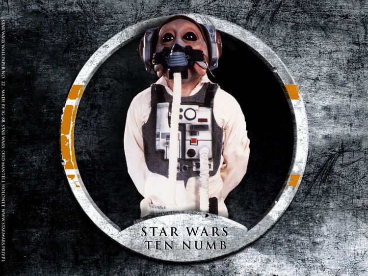 Fonds d'cran Cinma Star Wars - Spcial Personnages Wallpaper N27019