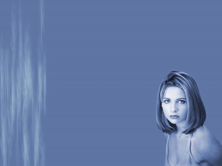 Fonds d'cran Clbrits Femme Sarah Michelle Gellar Wallpaper N57841