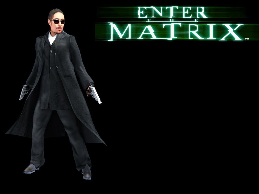 Wallpapers Video Games Enter The Matrix 