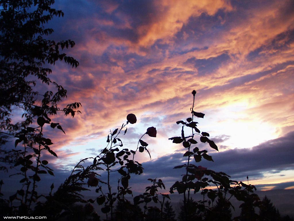 Fonds d'cran Nature Couchers et levers de Soleil 