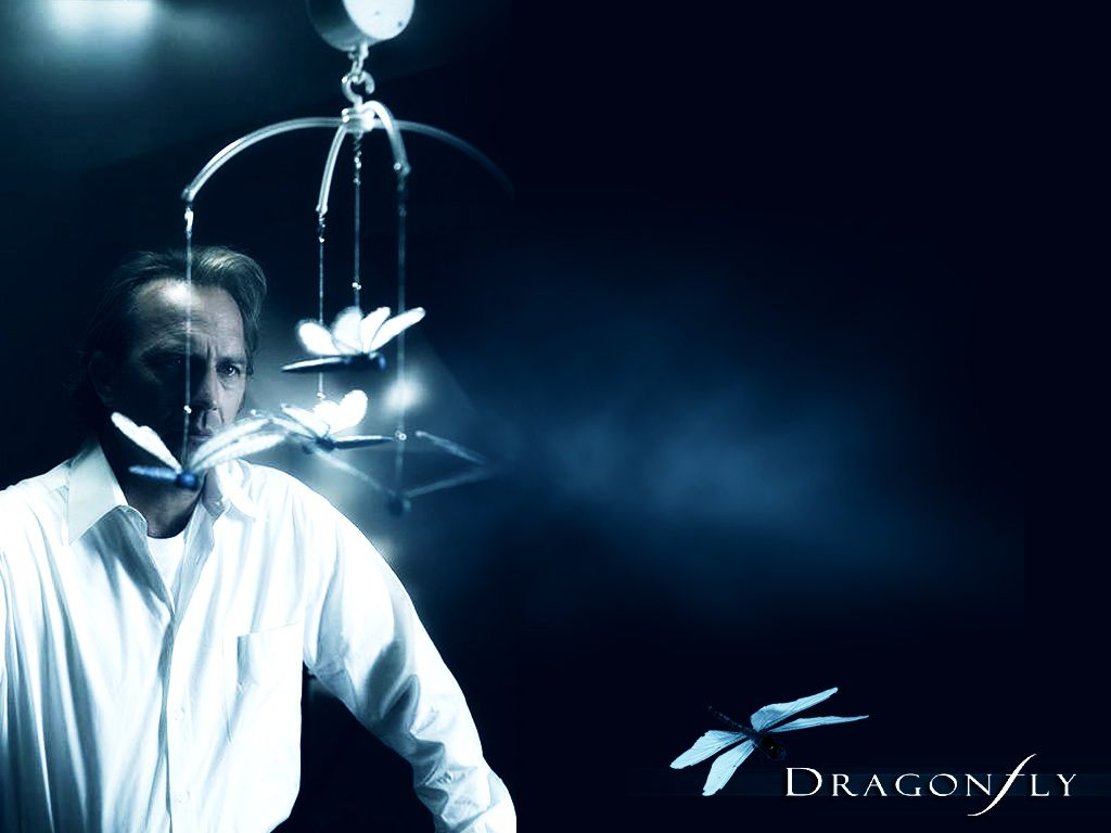 Wallpapers Movies Dragonfly 