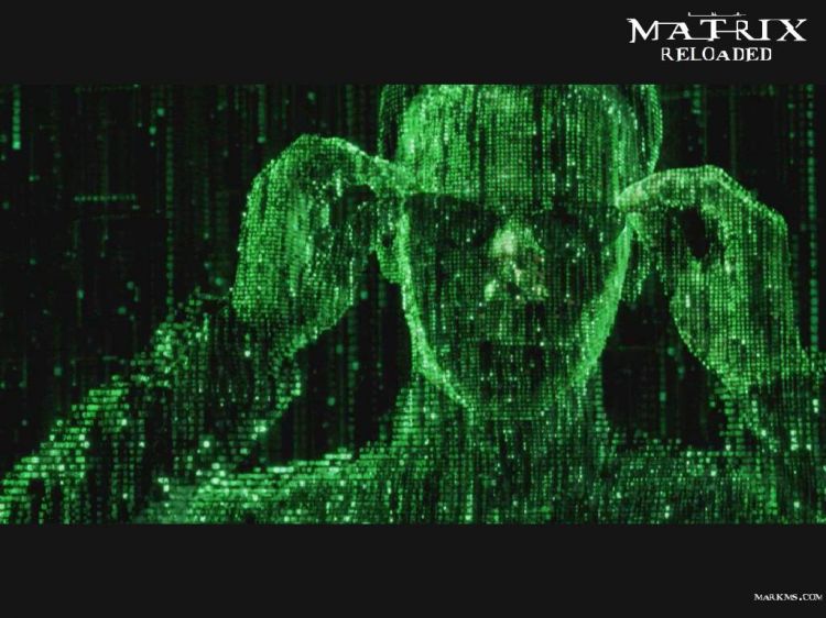 Fonds d'cran Cinma Matrix 2 Reloaded Wallpaper N29789