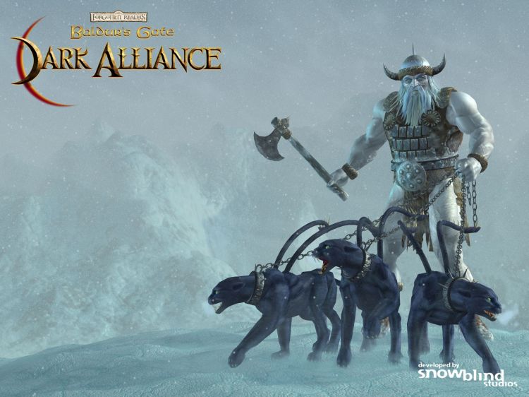 Wallpapers Video Games Baldur's Gate : Dark Alliance Wallpaper N31655