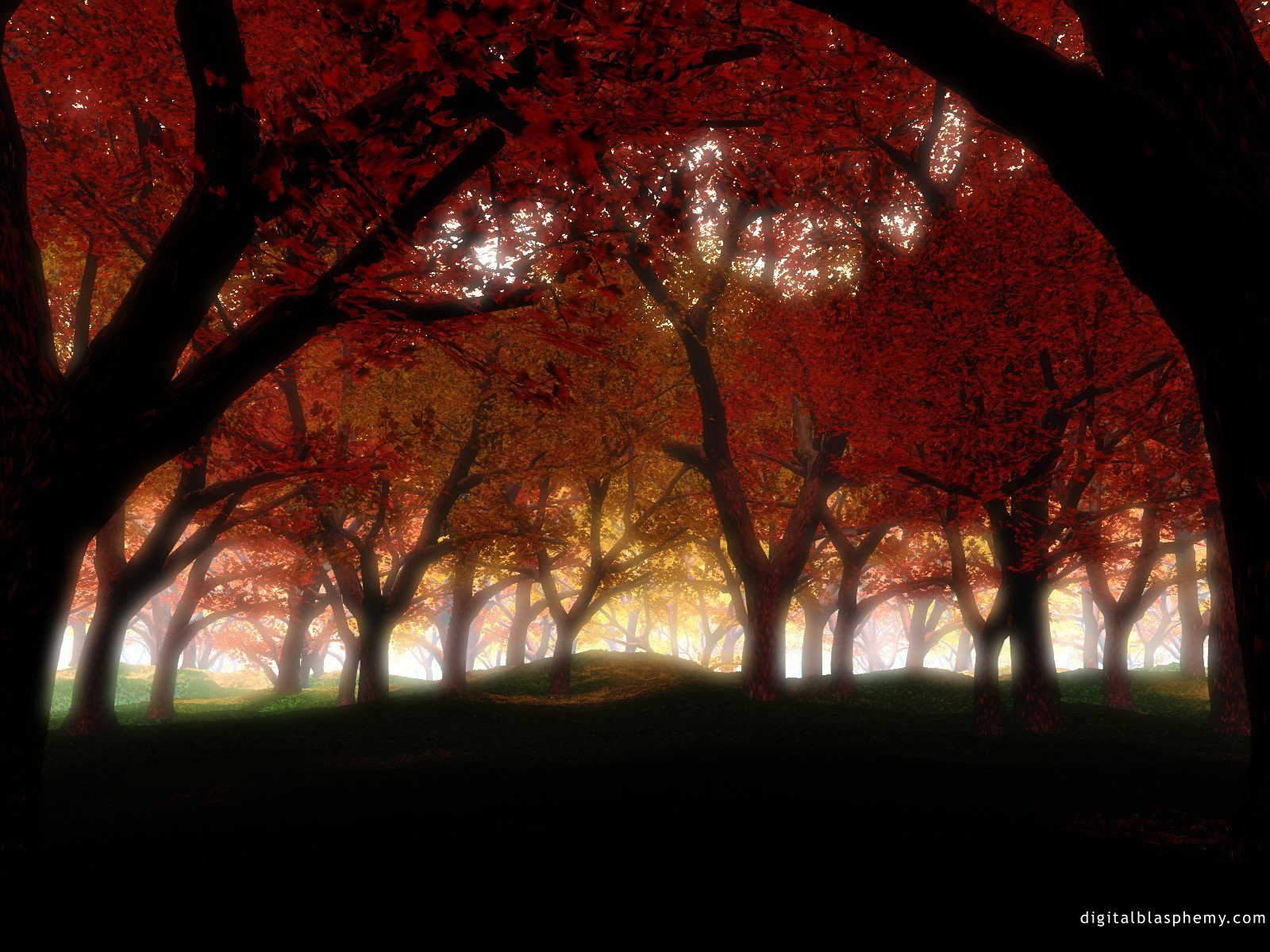 Wallpapers Digital Art Nature - Landscapes 