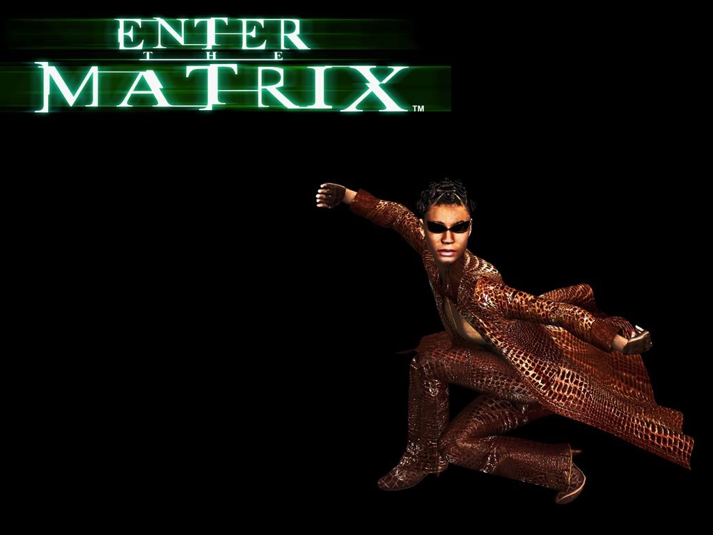 Fonds d'cran Jeux Vido Enter The Matrix 