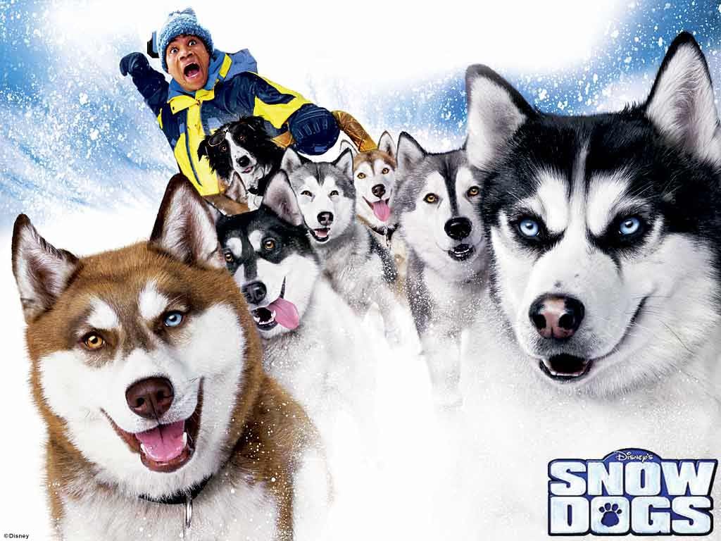 Wallpapers Movies Snow Dogs 