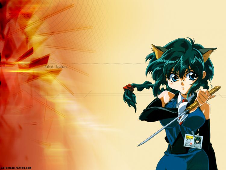 Wallpapers Manga Hyper Police Wallpaper N49198