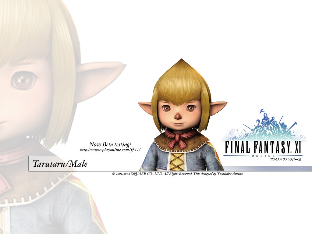 Fonds d'cran Jeux Vido Final Fantasy XI 