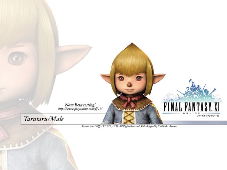 Fonds d'cran Jeux Vido Final Fantasy XI Wallpaper N32260