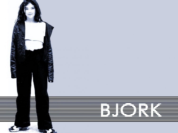 Fonds d'cran Musique Bjrk Wallpaper N53155