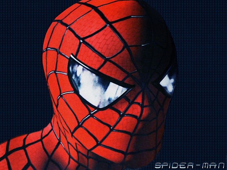 Fonds d'cran Cinma Spider-Man Wallpaper N28497