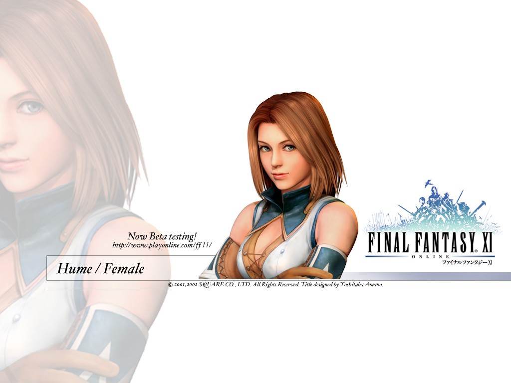 Fonds d'cran Jeux Vido Final Fantasy XI 