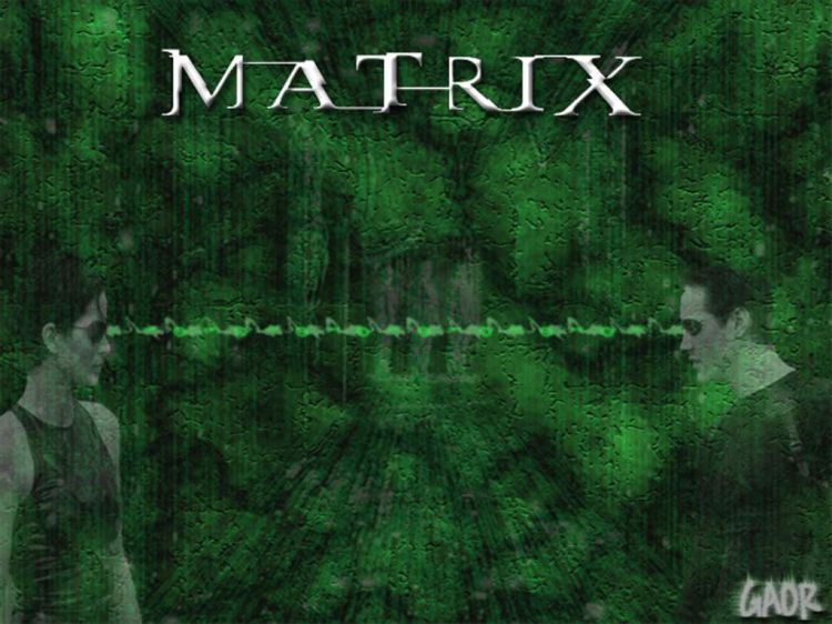 Wallpapers Movies Matrix 1 Wallpaper N26212