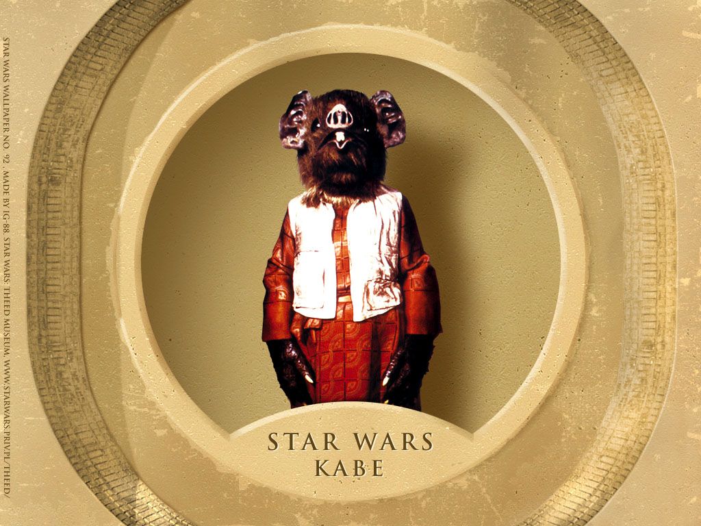 Fonds d'cran Cinma Star Wars - Spcial Personnages 