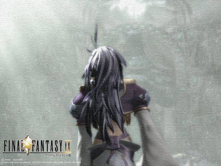 Fonds d'cran Jeux Vido Final Fantasy IX Wallpaper N37119