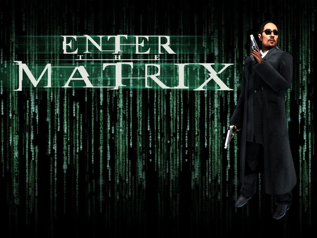 Wallpapers Video Games Enter The Matrix 