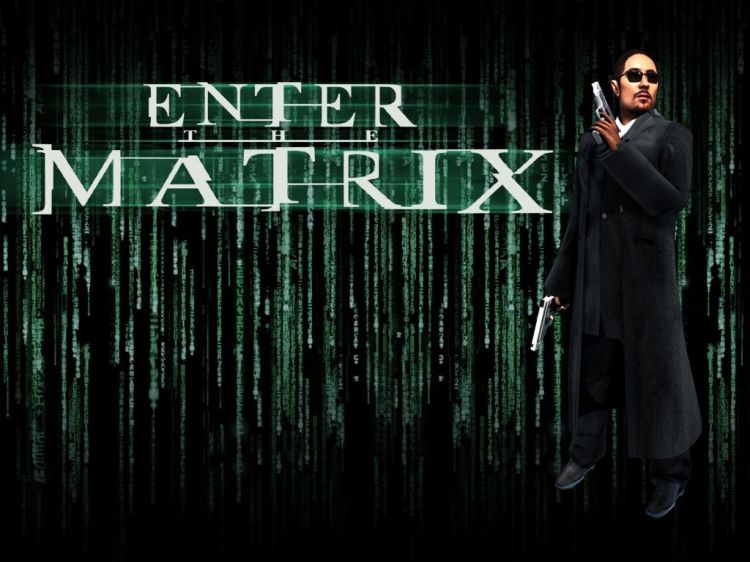 Wallpapers Video Games Enter The Matrix Wallpaper N37050