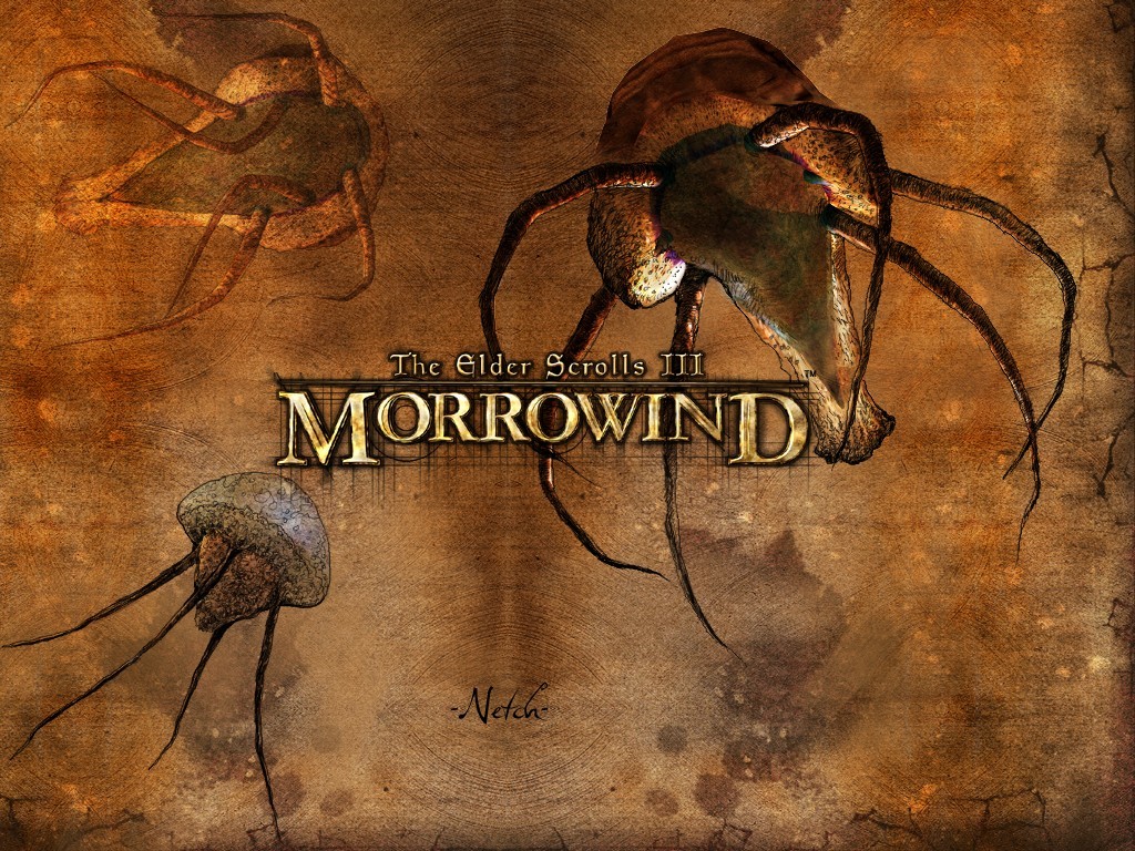 Fonds d'cran Jeux Vido The Elder Scrolls III : Morrowind 